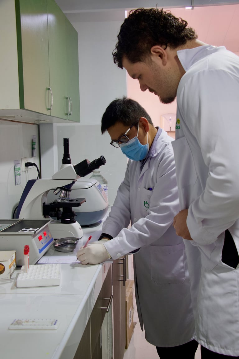 Two laboratory technicians in white coats work at a microscope in a clinical lab setting with green cabinets in the background